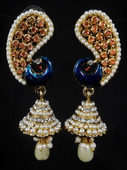 Fashion Earrings